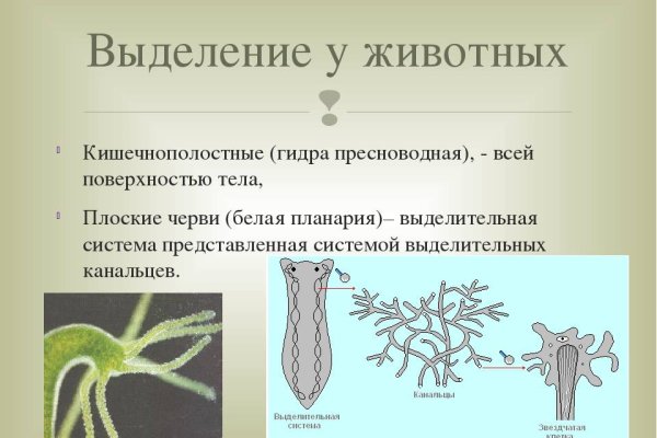 Почему не работает кракен